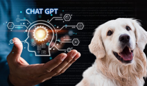 Köpeğinin DNA'sını yapay zekaya gönderdi! Çıkan sonuç herkesi şaşkına çevirdi