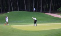 Turkish Airlines Open 2025 Golf Turnuvası