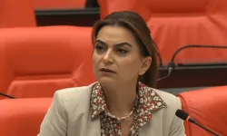 Meclis'te gergin anlar! Kürtçe konuşan vekilin mikrofonu kapatıldı