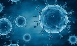 AIDS Nedir? Belirtileri, nedenleri ve tedavi yöntemleri...