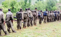 Terör örgütü PKK'nın 47 yıllık kanlı tarihi: Terörle geçen yarım asır...