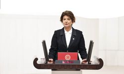 AK Parti Diyarbakır Milletvekili Suna Kepolu'dan çarpıcı Anayasa ve Kürt açıklaması!