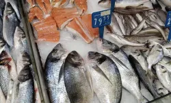 Senegallinin sofrasından al İngilizin sofrasına ver: Tedarik zincirinin merkezinde Türk şirket var!