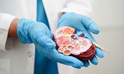 EGFR Nedir? Değeri kaç olmalı, GFR kaç olursa tehlikeli sayılır?