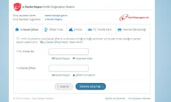 e-Devlet'ten dev kolaylık: Telefon ve internet tarifeleri artık karşılaştırılabiliyor