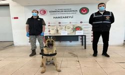 Hamzabeyli'deki operasyonlarda kilolarca uyuşturucu ele geçirildi