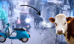 O anlar kameralara böyle yandı: Hindistan'da bir inek motor çaldı, üstüne üstlük bir de kaza yaptı!