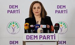 DEM Parti'den yeni anayasa çağrısı!