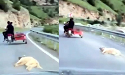 Bu nasıl insanlık? Köpeği motosikletin arkasına bağlayıp sürükledi!