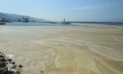 Marmara Denizi'ni kirletenlere 1.8 milyar TL'lik ceza yağdı