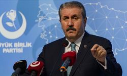 Destici'den dikkat çeken seçim açıklaması: Tarih verdi!