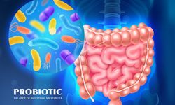Probiyotik nedir? Probiyotikler ne işe yarar?