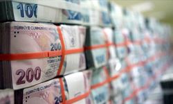 Hazine ve TCMB’den Türk Lirası’nı güçlendirecek yeni hamleler!