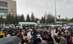 Hayvanseverlerden Anayasa Mahkemesi'nde alınan karara tepki!