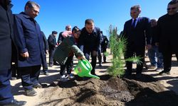 Muğla'da, Dünya Ormancılık Günü kapsamında 20 bin fidan dikildi
