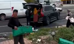 Diyarbakır'da tır kazasında akılalmaz görüntüler!Yola saçılan meyveleri araçlarına yüklediler