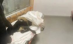 Şaşkınlık veren olay! Ayağı kırılan koyunu acile götürdü, ortalık karıştı
