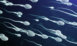 Sperm kalitesi erkeklerin ömrünü mü belirliyor?