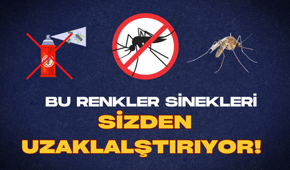 Yaz boyu sinek derdi yaşamayacaksınız! Tek yapmanız gereken bu renk giyinmek
