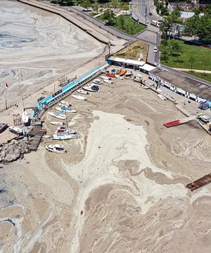 Marmara Denizi ısınıyor: Ekosistem müsilaj riskiyle karşı karşıya