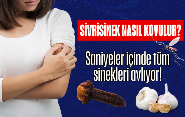 Sivrisinek nasıl kovulur? Gece sivrisinek nasıl yakalanır?  Odadaki sivrisinek nasıl yakalanır?