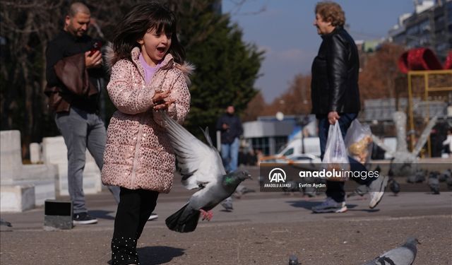Bahar gelmeden yaz geldi! Su kaynakları tehlikede!