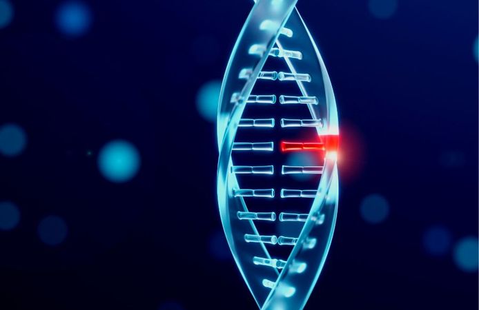 Eğlencesine DNA testi yaptırdı kocasıyla kardeş çıktı!