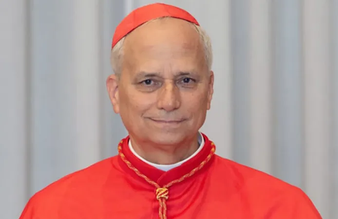 Yeni Papa Leo XIV kimdir? Katolik dünyasında tarihi seçim: İlk ABD'li Papa!