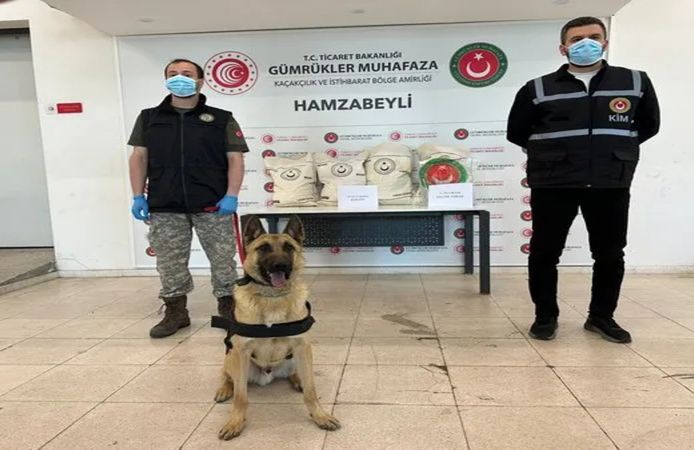 Hamzabeyli'deki operasyonlarda kilolarca uyuşturucu ele geçirildi
