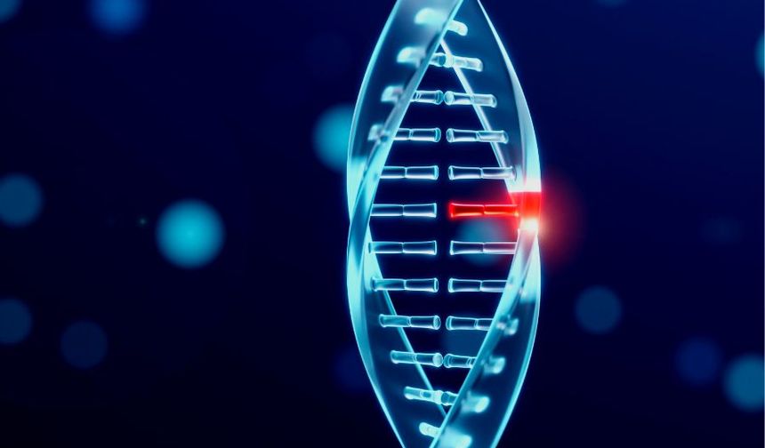 Eğlencesine DNA testi yaptırdı kocasıyla kardeş çıktı!