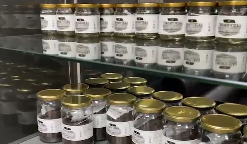 Türklerin hassas noktası çayda çığır açacak devrim!