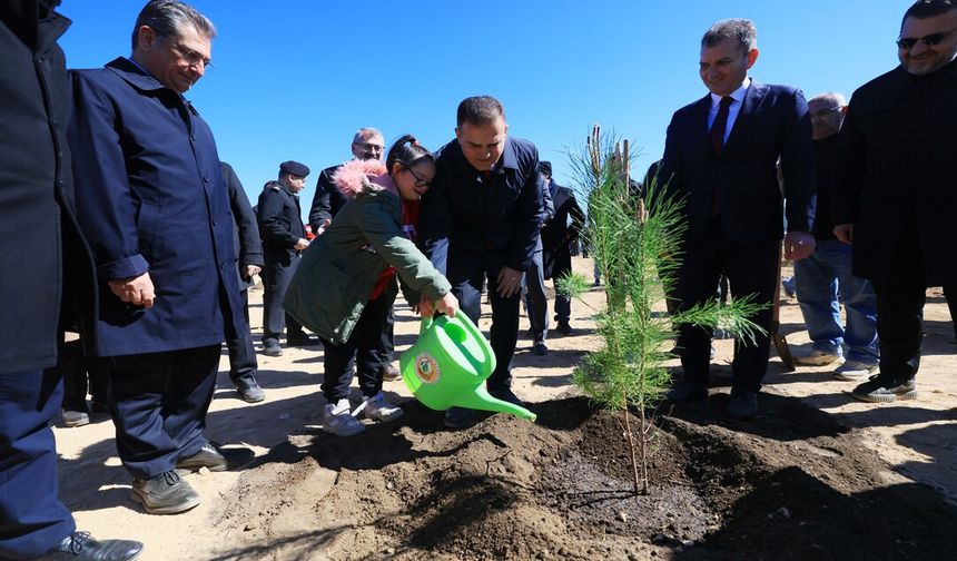 Muğla'da, Dünya Ormancılık Günü kapsamında 20 bin fidan dikildi