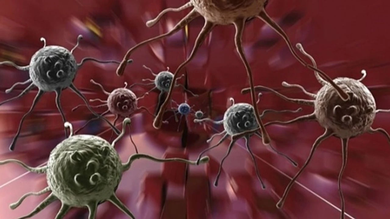Aids Nedir Aids Belirtileri Nelerdir Aids Nasil Bulasir 5Df67.Jpg