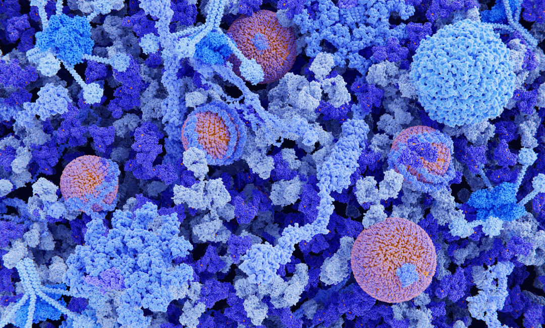 Ferritin Değeri Kaç Olmalı
