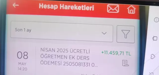 Ücretli2
